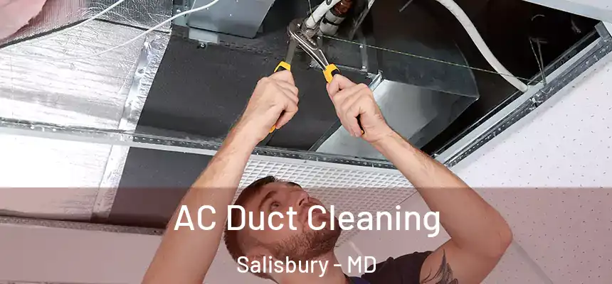  AC Duct Cleaning Salisbury - MD