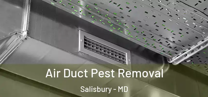  Air Duct Pest Removal Salisbury - MD