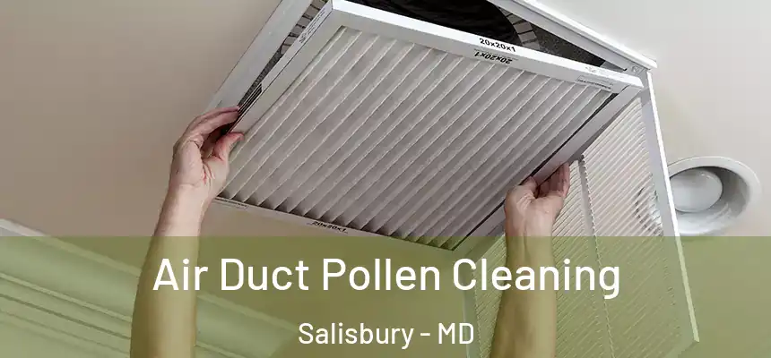  Air Duct Pollen Cleaning Salisbury - MD