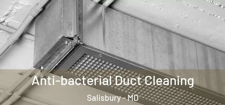  Anti-bacterial Duct Cleaning Salisbury - MD