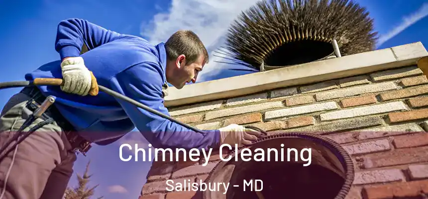  Chimney Cleaning Salisbury - MD