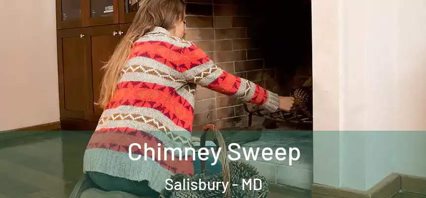  Chimney Sweep Salisbury - MD