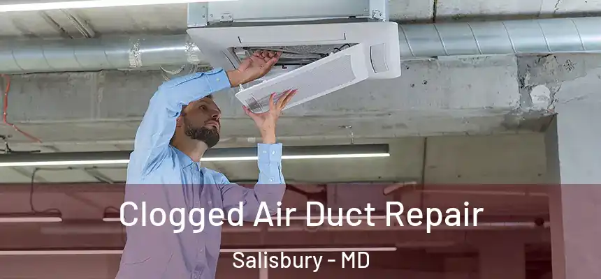 Clogged Air Duct Repair Salisbury - MD