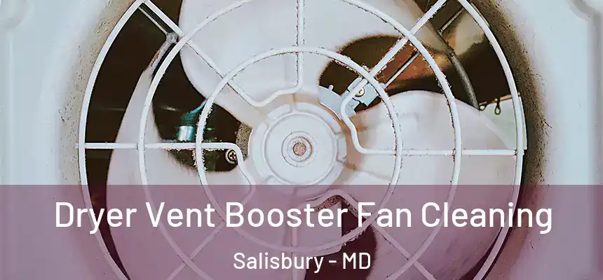  Dryer Vent Booster Fan Cleaning Salisbury - MD