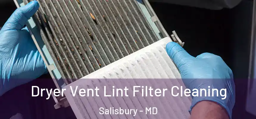 Dryer Vent Lint Filter Cleaning Salisbury - MD