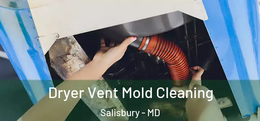  Dryer Vent Mold Cleaning Salisbury - MD