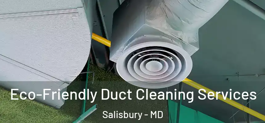  Eco-Friendly Duct Cleaning Services Salisbury - MD