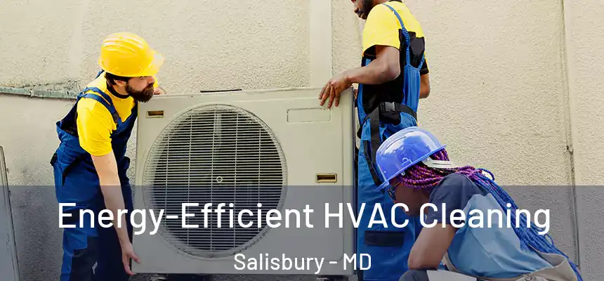 Energy-Efficient HVAC Cleaning Salisbury - MD