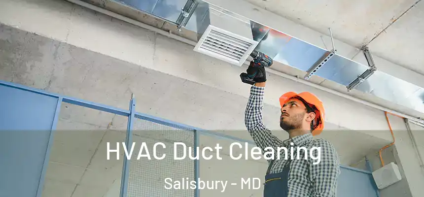  HVAC Duct Cleaning Salisbury - MD