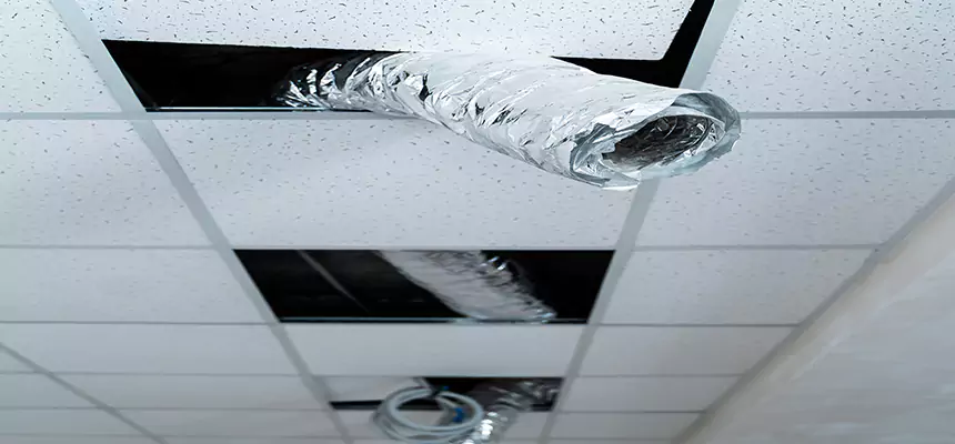 Our Air Duct Pet Hair Removal Services in Salisbury, MD