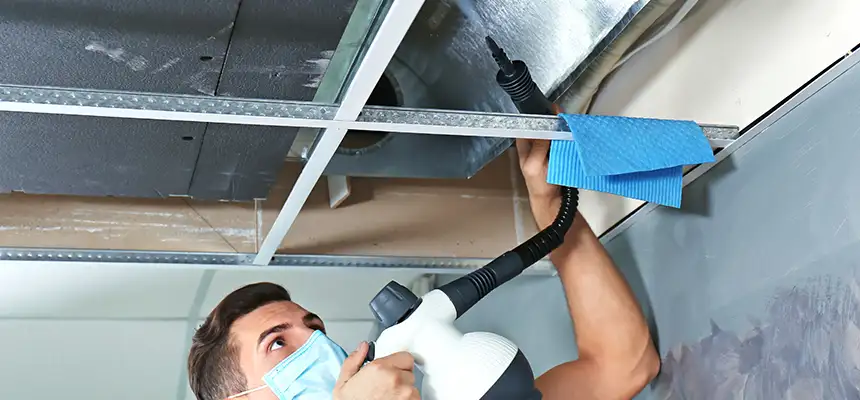 Our Air Duct Rodent Removal Services in Salisbury, MD