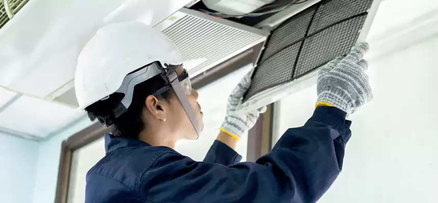 Our Mold & Mildew Removal from Air Ducts Services in Salisbury, MD