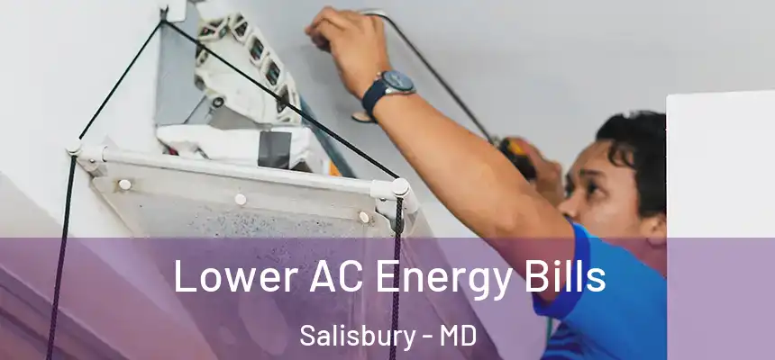  Lower AC Energy Bills Salisbury - MD