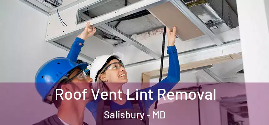  Roof Vent Lint Removal Salisbury - MD