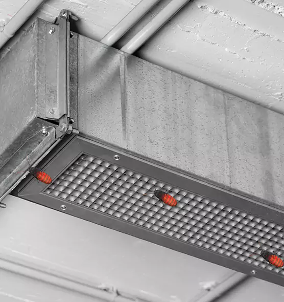 Affordable Insect Removal from Air Ducts in Salisbury, MD