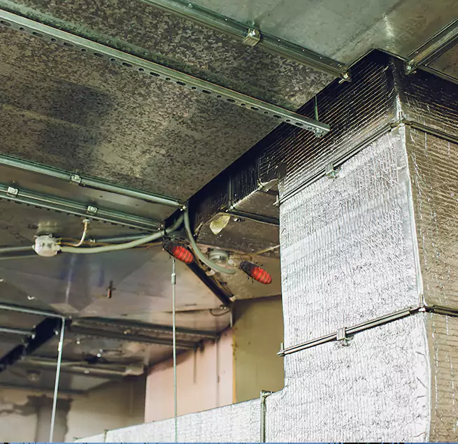 Why Homeowners & Businesses Trust Us in Salisbury, MD?