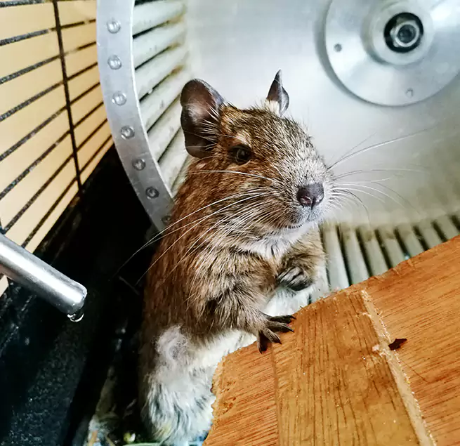 Why Homeowners & Businesses Trust Us Salisbury, MD