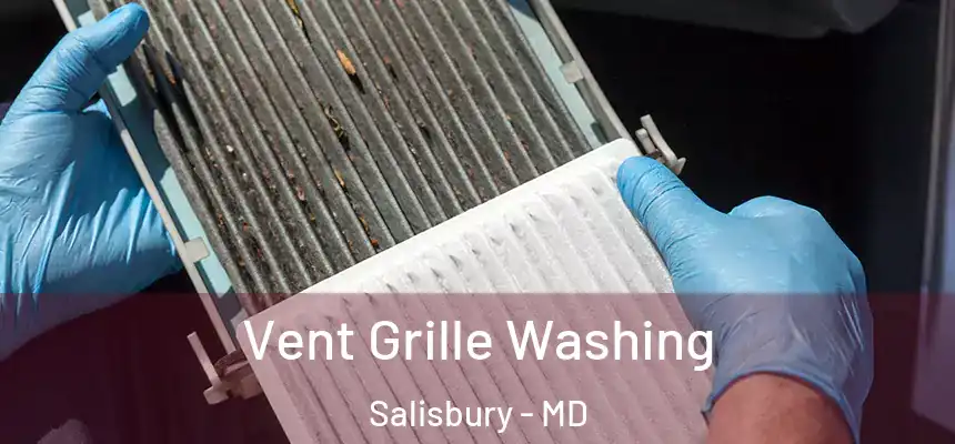 Vent Grille Washing Salisbury - MD